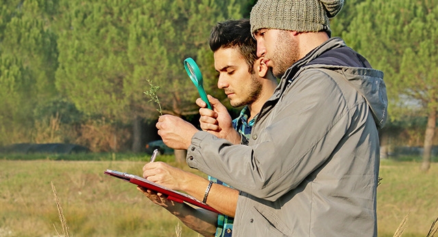 Botanical Authentication The Potential of DNA-Based Field Botanical Authentication ...
