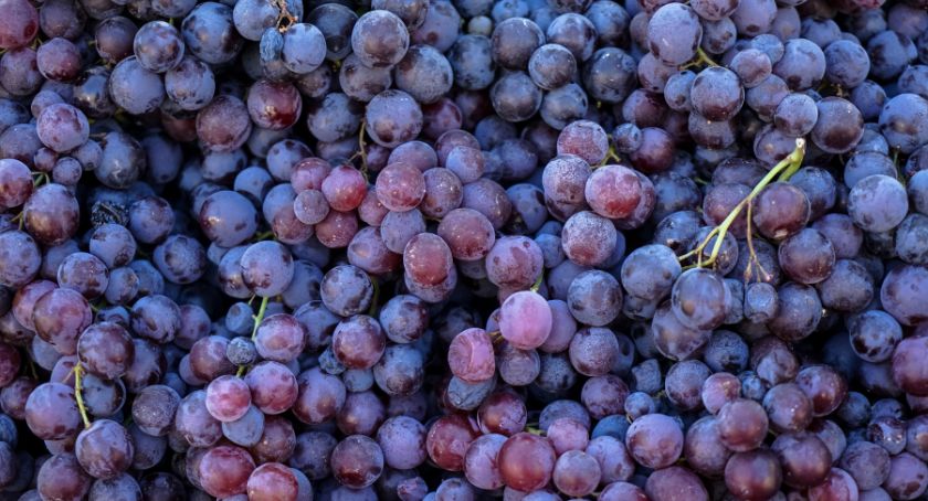 Grape Consumption Improves Gene Expression Related to Skin Health: Study