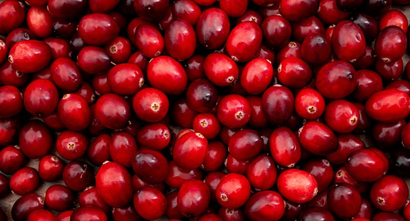 Cranberry Juice May Improve Outcomes for UTIs Alongside Antibiotics: Study