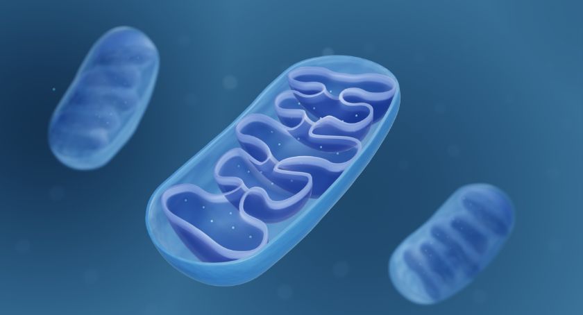  Blue Helix Health to Present New Research on NAD at FASEB Conference