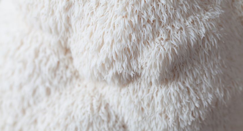 Nammex Introduces Lion’s Mane Mycelium Ingredient Through Partnership with Novelara