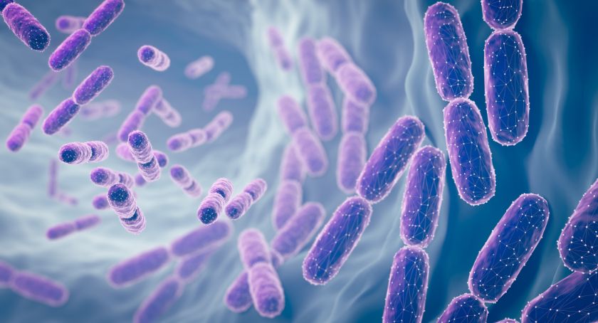 Maypro Completes NDI Notification Process for AKK Probio Akkermansia